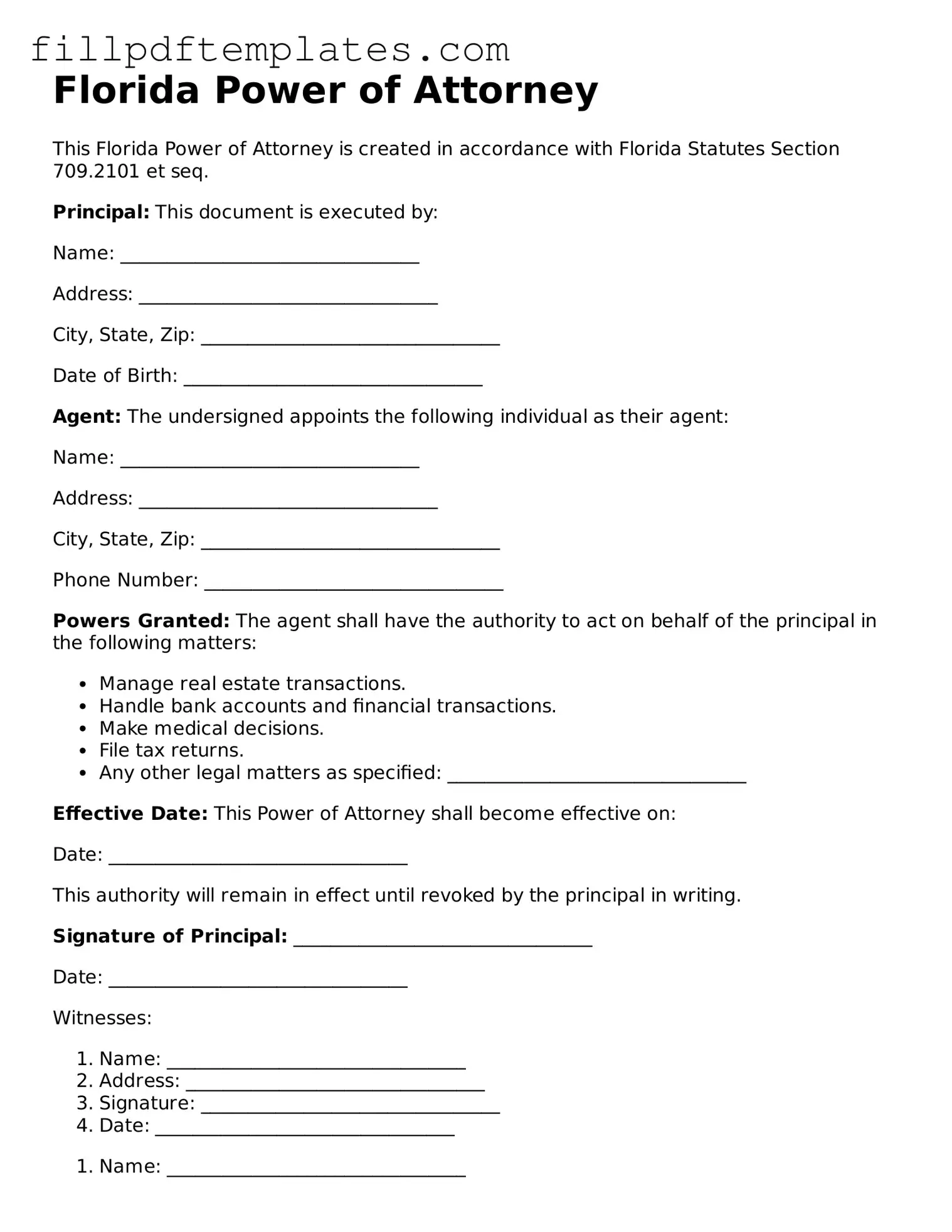 Blank Florida Power of Attorney Form