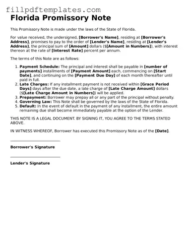Blank Florida Promissory Note Form