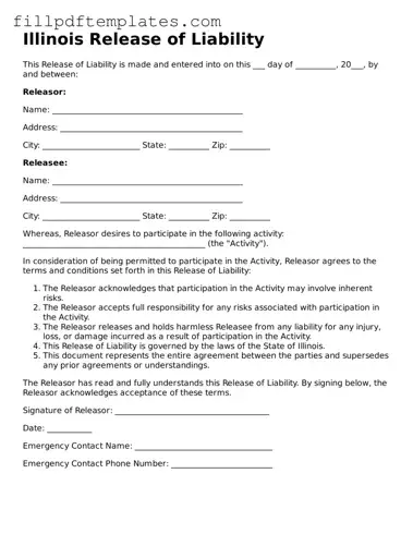 Blank Illinois Release of Liability Form